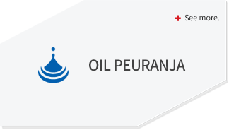 프란자오일